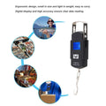 Handheld Luggage Scale with Digital Display - 50kg