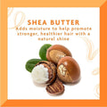 Best Moisturizing Shampoo Shea Butter Cantu 400ml