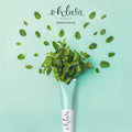 Ohlala Mint Toothpaste, Fluoride Whitening Formula, 75ml