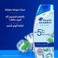 Head and Shoulders Ice Fresh Anti-Dandruff Shampoo - 350ml