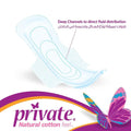 Private Regular Feminine Pads with Wings for Daily Comfort and Protection - 30 Count