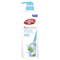 Body Wash Cool Fresh Antibacterial Family Size Lifebuoy 700ml