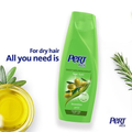 Pert Plus Olive Oil Shampoo, Nourishing Scalp Care, 200ml