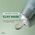 Mugwort Soothing Clay Mask Oily Sensitive Skin 100ml Isntree