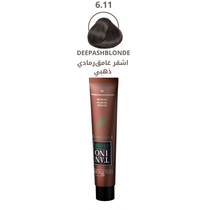 Dark Ash Blonde Hair Dye 6.11 Permanent Gray Coverage Salvatore 60g