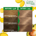Garnier Hair Color 8.11 Deep Ash Blonde Light Blonde 112ml