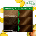 Garnier Hair Color 5.3 Light Golden Brown 112 ml