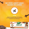Dabur Herbal Clove Toothpaste 150g with Dental Wipes 12-Pack