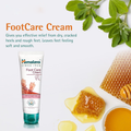 Himalaya Foot Care Cream with Olive Oil and Shea Butter for Dry Feet 75g