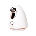 Rebune Facial Steamer RE-3-061, 85ml Water Tank, 220W Deep Cleansing