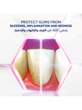 Gum Protection Toothpaste Gum Expert Fresh Signal 75ml