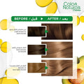 Blonde Hair Dye Gray Coverage Garnier Color Naturals 7