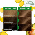 Ash Blonde Hair Color Dark Ash Blonde 6.1 Garnier Color Naturals 1 Pack
