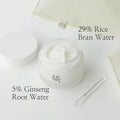 Face Cream Dynasty Hydrating Rice & Ginseng Beauty Of Joseon 50ml