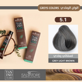 Hair Dye For Gray Coverage Chestnut Ash 5.1 Permanent Formula Salvatore 60g