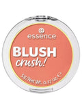 Best Powder Blush Natural Flush Long-Lasting Essence 5g
