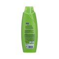 Pert Plus Olive Oil Shampoo for Dry and Damaged Hair, 600ml