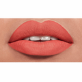Bourjois Rouge Velvet Lipstick 06 Orange, Matte Finish, Hydrating Formula