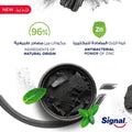 Charcoal Whitening Toothpaste Deep Clean Stain Removal Signal 75ml
