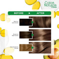 Blonde Hair Dye Dark Blonde 6 Gray Coverage Garnier Color Naturals