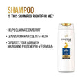 Pantene Pro-V 2-in-1 Anti-Dandruff Shampoo & Conditioner - 375 ml