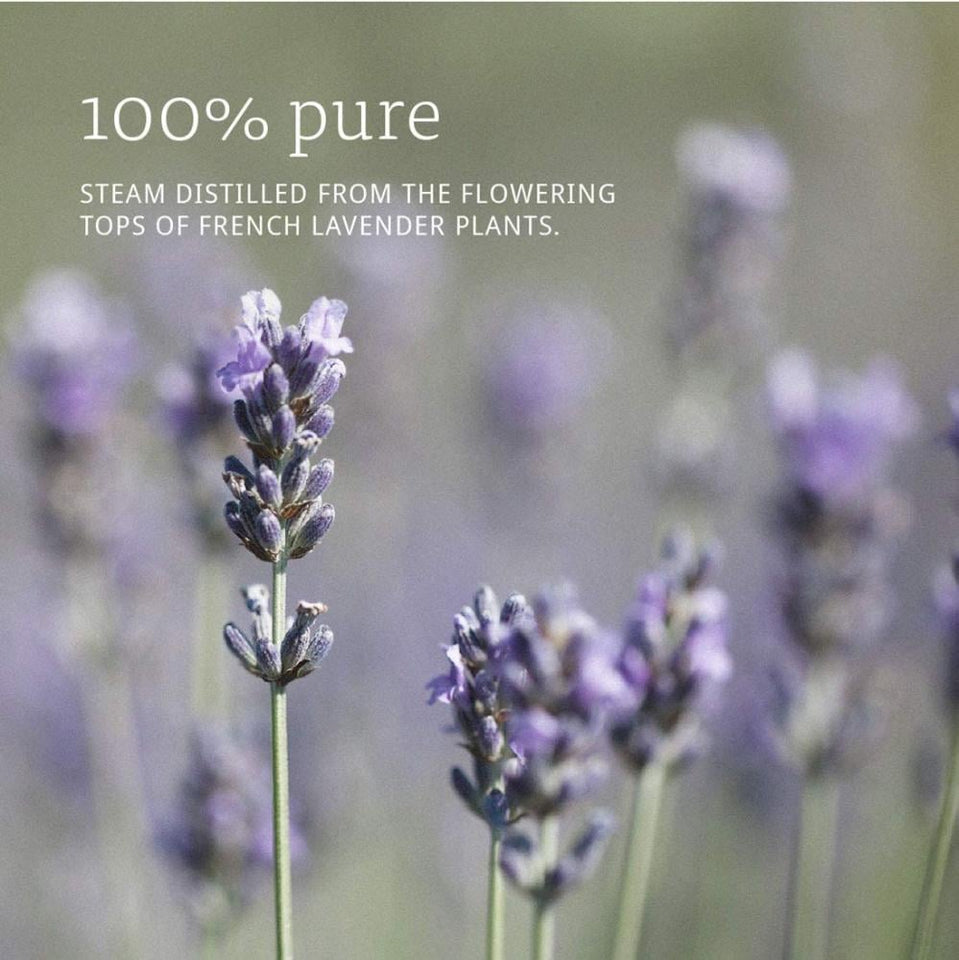 Now Essential Oils Lavender Essential Oil Calming & Relaxing 30ml