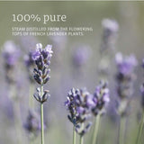 Now Essential Oils Lavender Essential Oil Calming & Relaxing 30ml