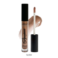 Volumising Lip Gloss Hydrating Shine Formula by Make Over22 5ml