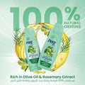 Best Shampoo for Dry Hair Olive Oil Extract Pert Plus 600ml
