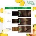 Garnier Hair Dye Dark Ash Blonde 6.1, 112ml, Gray Coverage