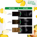 Garnier Hair Color Black 1 with Olive & Avocado Oil, Gray Coverage, 112ml