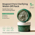 Mugwort Pore Clarifying Wash Off Pack Deep Cleansing Mask AXIS-Y 100ml