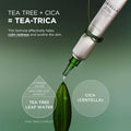 Skin1004 Centella T-Trica Spot Cream 20ml with 15% Tea Tree