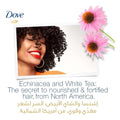 Best Hair Conditioner Echinacea Lengthening Dove 350ml