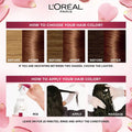 Brown Hair Dye Honey Brown 7.7 Triple Care L'Oreal Paris 1 Pack