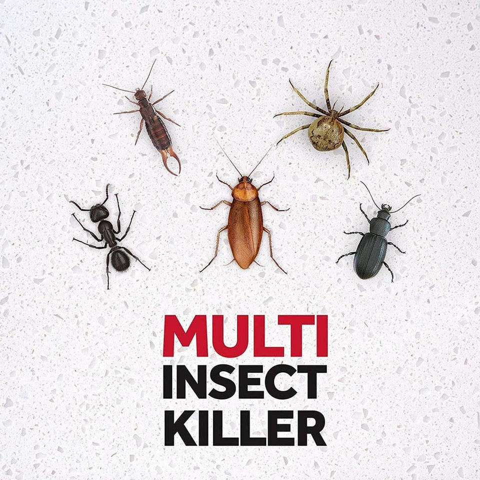 Raid Insect Killer Spray for Crawling & Flying Insects 300ml