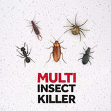 Raid Insect Killer Spray for Crawling & Flying Insects 300ml