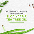 Best Hair Cream for Men Anti-Dandruff Tea Tree Aloe Vera Himalaya 210ml