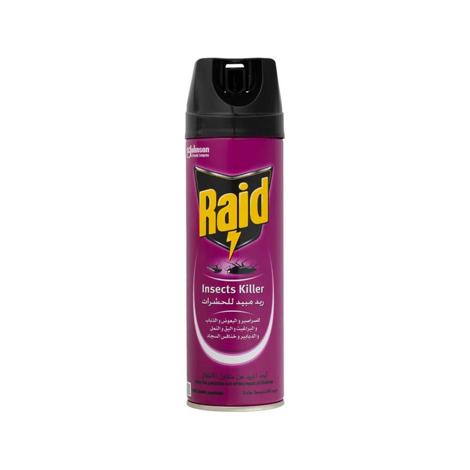Raid Insect Killer Spray for Crawling & Flying Insects 300ml