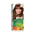 Garnier Hair Color 6.34 Chocolate Brown Gray Coverage 112 ml