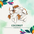 Shampoo for Oily Hair Coconut Extract Herbal Essences Hello Hydration 400ml