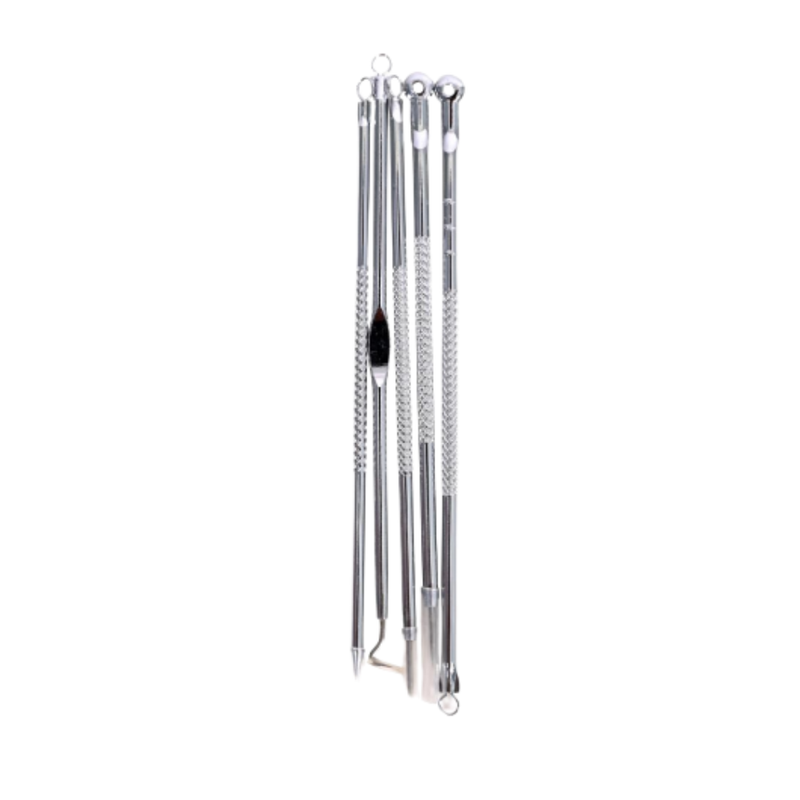 Dara Beauty 5-Piece Stainless Steel Blackhead Removal Needle Set