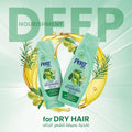Best Shampoo for Dry Hair Olive Oil Extract Pert Plus 600ml