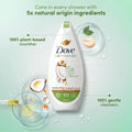 Dove Restoring Body Wash Coconut Oil & Almond Milk with Loofah 250ml