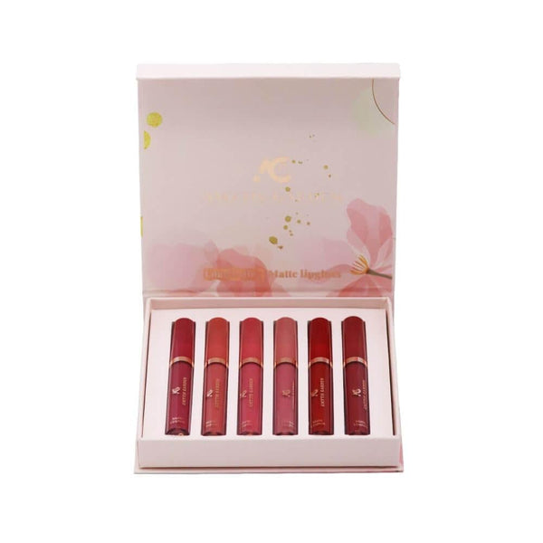 Matte Lip Gloss Set 6 Shades Moisturising Amytis Garden 2.5ml*6pcs