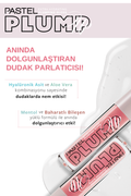 Pastel ProFashion Lip Plumper - Shade 203, Glossy Finish, 5.3ml