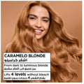 Garnier Nutrisse Nourishing Hair Color Creme Honey Blonde 8.31 60ml