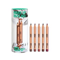 Make Up For Ever Artist Color Pencil Set, 5 Piece Mini Matte Lip Liner