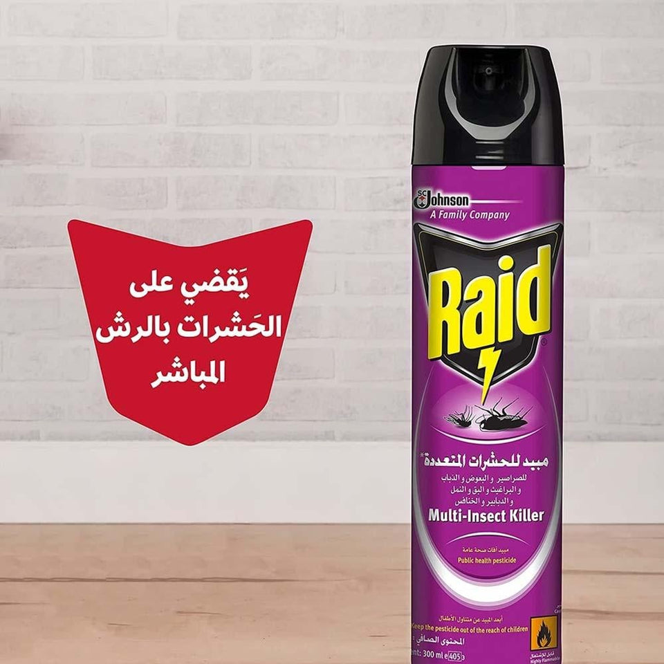 Raid Insect Killer Spray for Crawling & Flying Insects 300ml