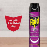 Raid Insect Killer Spray for Crawling & Flying Insects 300ml
